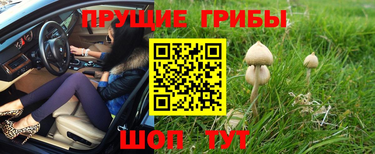 Псилоцибиновые грибы мухоморы Краснокамск
