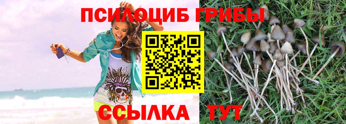 Псилоцибиновые грибы Psilocybine cubensis  Псилоцибиновые грибы ЛСД  Вход с VPN  Краснокамск 